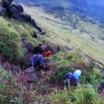 gunung dibawah 2500mdpl