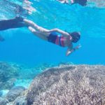 10864696_752441848174815_1344776209_n