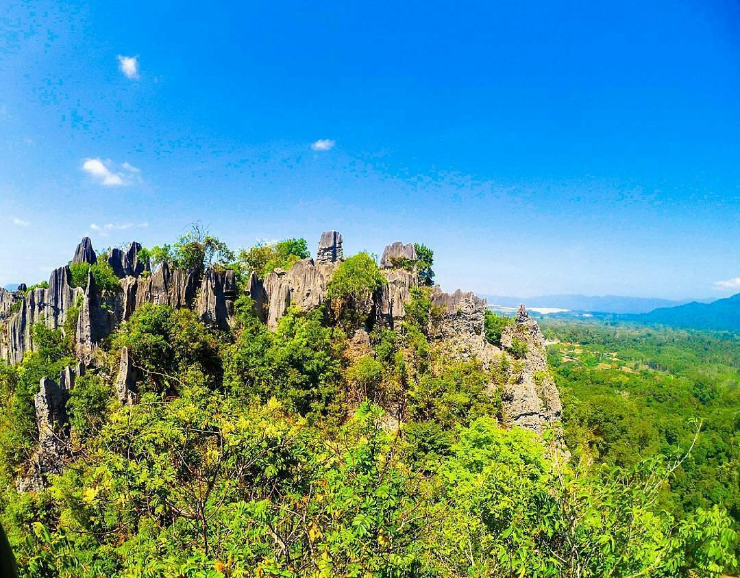 wisata alam kalimantan timur bukit 