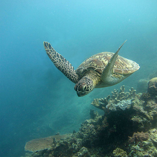 resort romantis di kalimantan timur