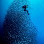 resort romantis di kalimantan timur