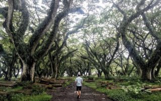 Ini Tempat Wisata Banyuwangi Terfavorit Sepanjang 2017