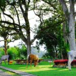 armaya wisata alam