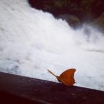 bantimurung wisata maros