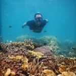 wisata serang
