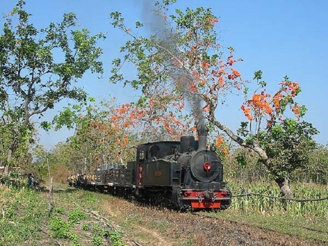 Rencana "Penghidupan Kembali" Loko Tour Uap Cepu