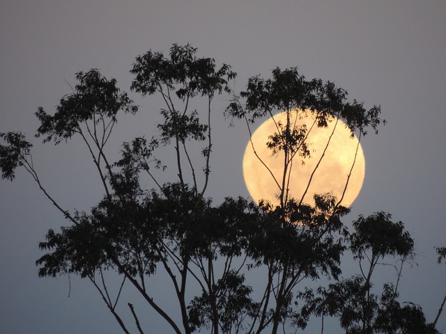 gerhana bulan di indonesia