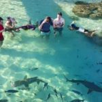 dive center di raja ampat 2