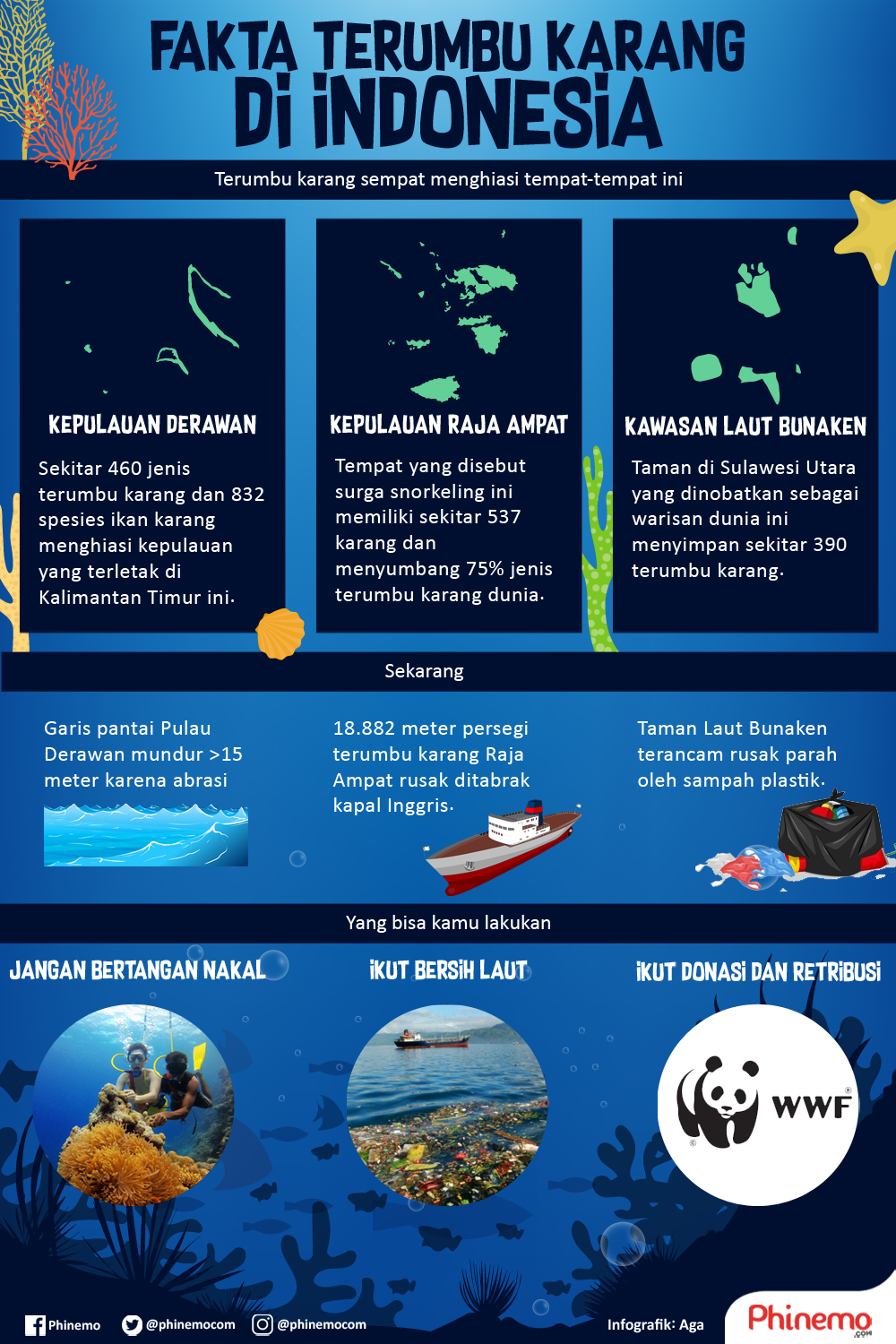 terumbu karang di indonesia