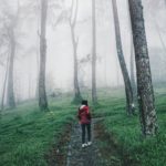 Taman Hutan Rakyat Ngargoyoso wisata solo terbaru