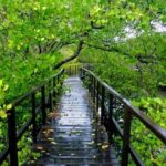 wisata romantis di medan