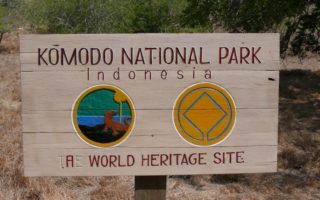 Pemasukan Taman Nasional Komodo dari Kunjungan Wisatawan Capai Rp27 Miliar pemasukan taman nasional komodo