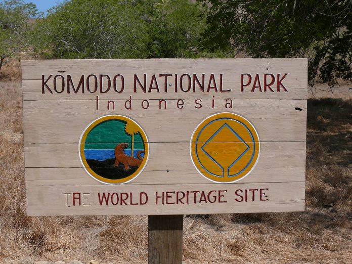 Pemasukan Taman Nasional Komodo dari Kunjungan Wisatawan Capai Rp27 Miliar