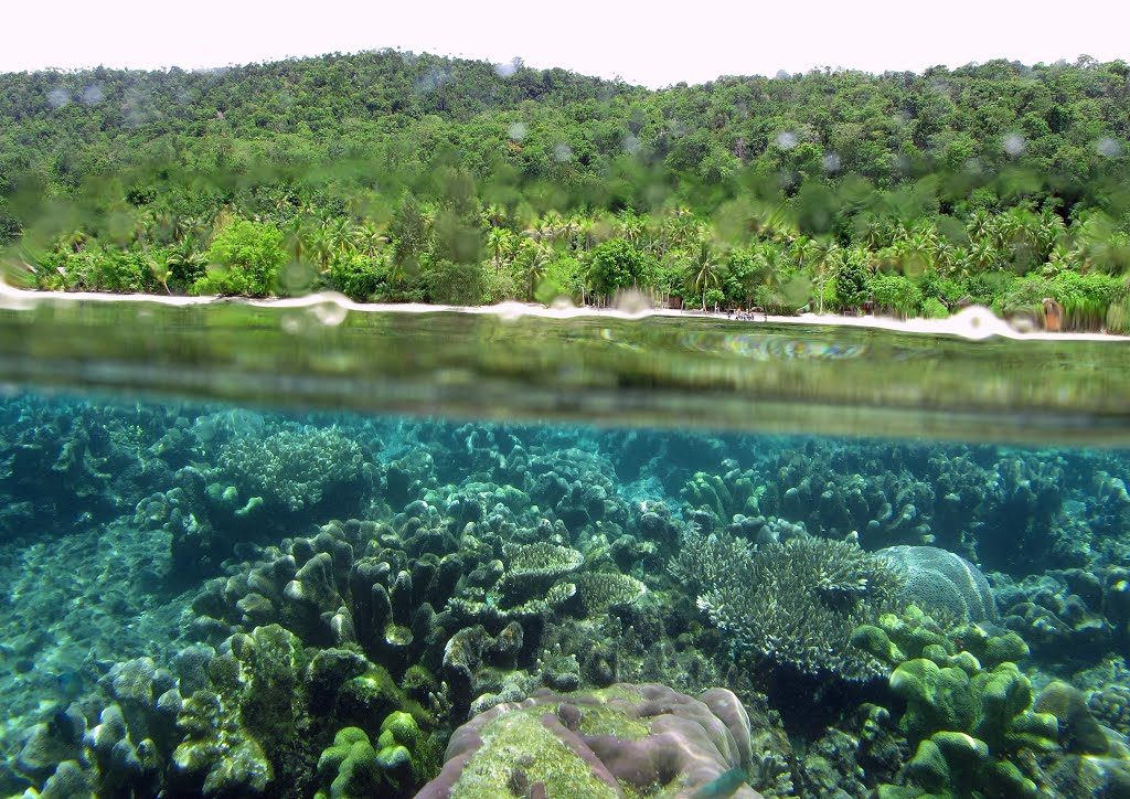 wisata raja ampat