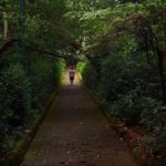 wisata alam dekat Jakarta hutan kota srengseng