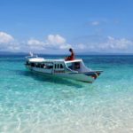 hari-559527f8ce92733a048b4569