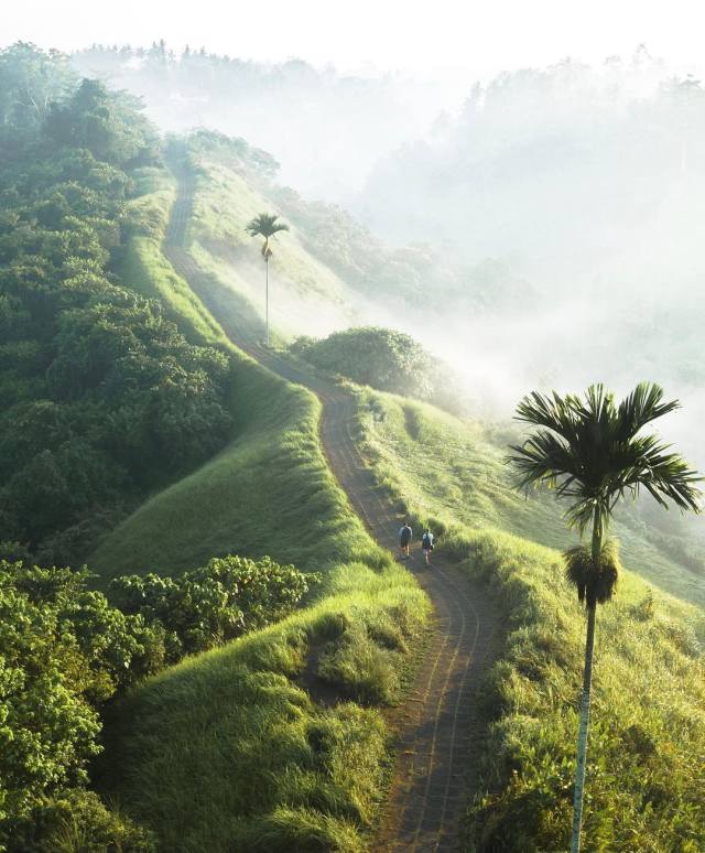 bukit campuhan ubud bali