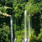 tempat bulan madu di ubud