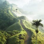 bukit campuhan ubud bali