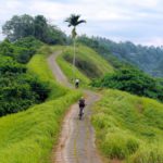 bukit campuhan ubud bali