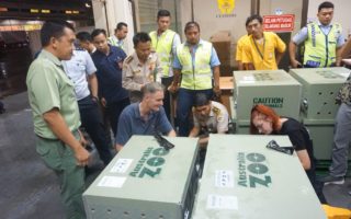 taman safari prigen 1