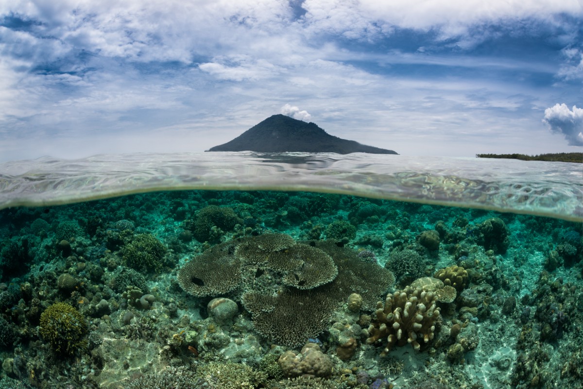 pulau manado tua