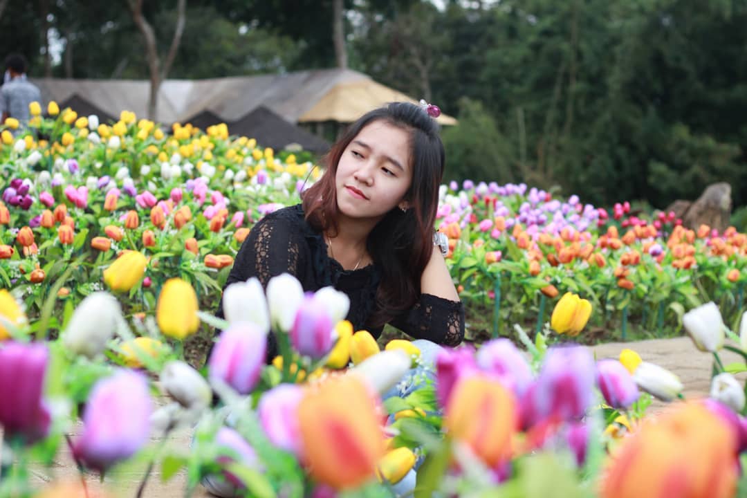 taman bunga celosia3