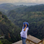 Screenshot 2018-03-07 at 13.05.33