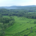 film tengkorak karya ugm