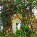 Screenshot 2018-03-21 at 14.49.46