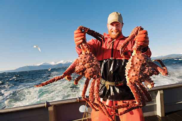 Harga Satu Porsi Kepiting Raja Alaska yang Didapatkan dengan Pertaruhkan  Nyawa