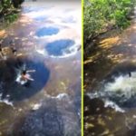 sungai amazon