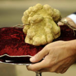 liburan maia estianti