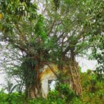 sarajana kalimantan selatan