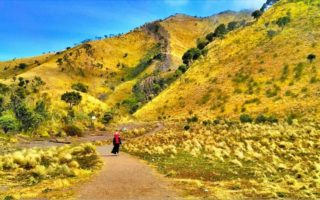 sabana merbabu