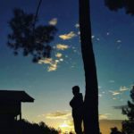 hutan pinus darmacaang