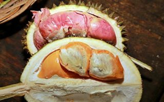 kampung durian banyuwangi