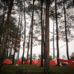 hutan pinus darmacaang