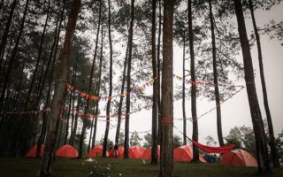 hutan pinus darmacaang