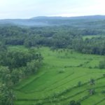 film tengkorak karya ugm