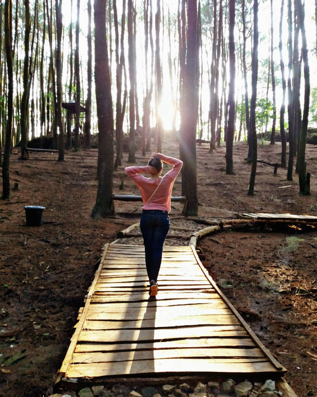 Kumpulan Foto Hutan Pinus Mangunan Di Instagram Yang Bikin Betah
