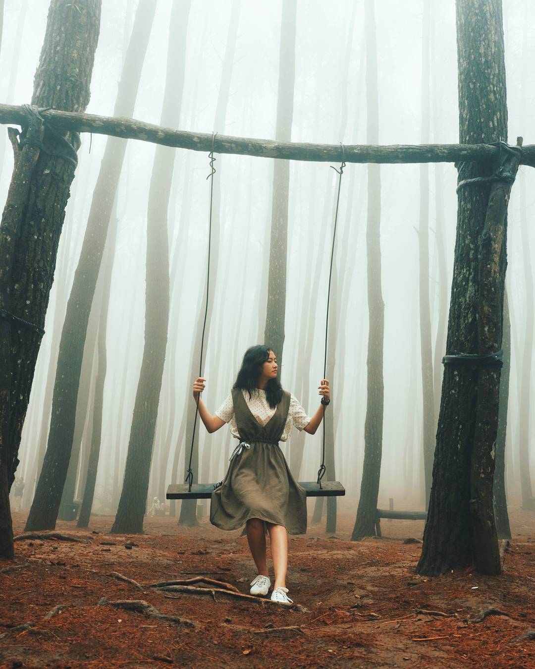 Kumpulan Foto Hutan Pinus Mangunan di Instagram Yang Bikin Betah Nggak Mau Pulang