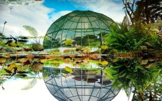 kebun raya indrokilo