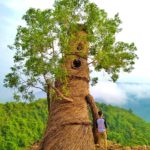 watu payung gunungkidul