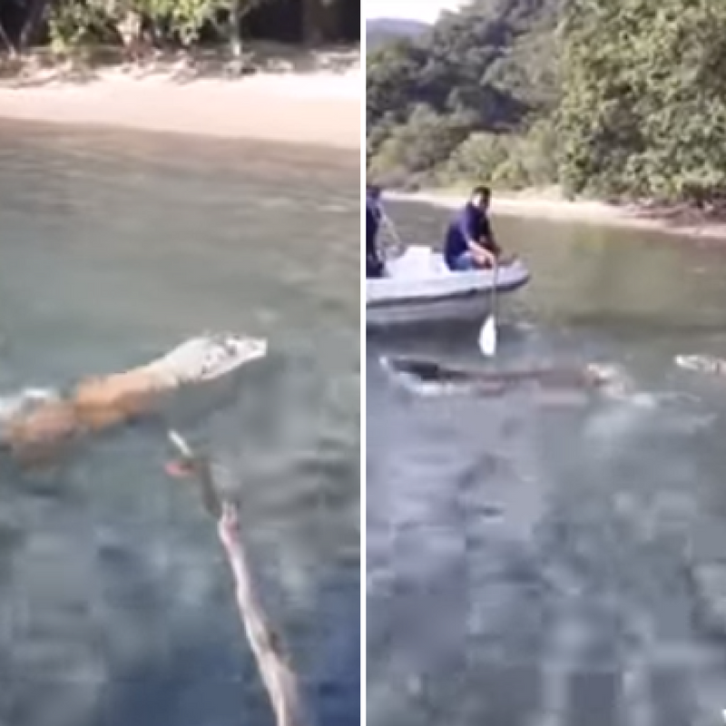 taman nasional komodo