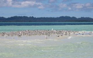 baby island di aceh