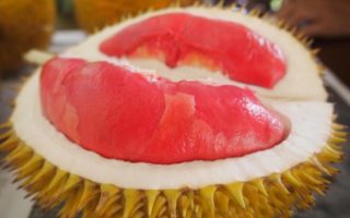 durian merah