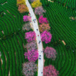 Foto perjalanan terbaik