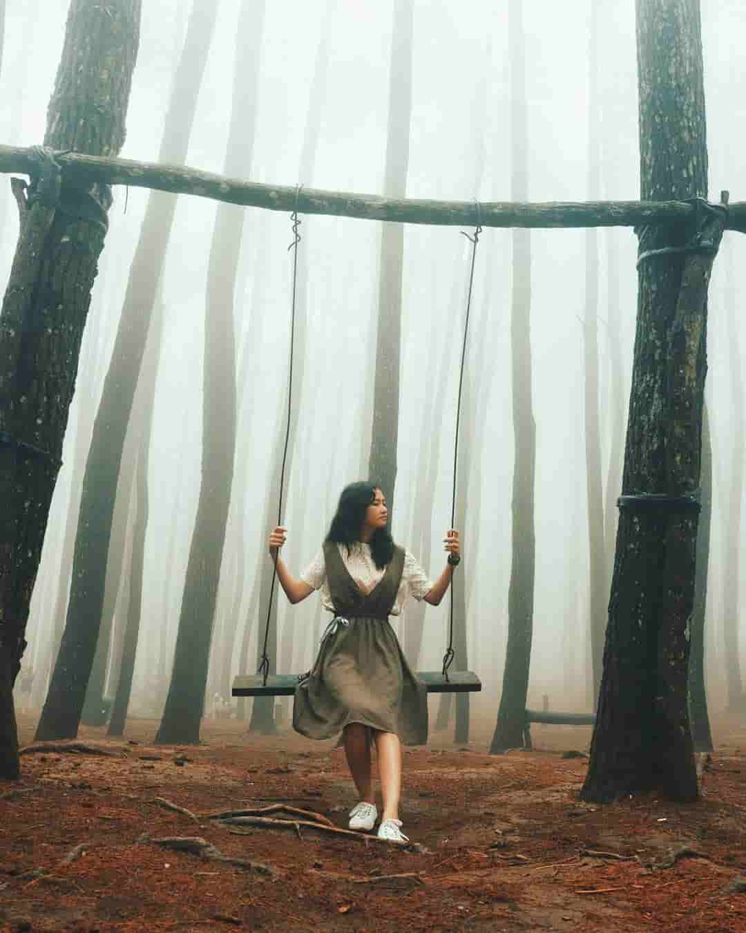 hutan pinus mangunan