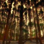pinus mangunan 5 (1)